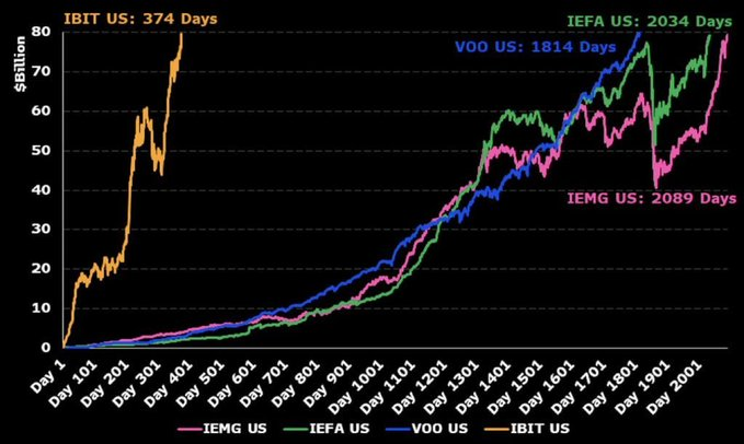 Who Owns the Most Bitcoin in 2025? Inside the Rich List